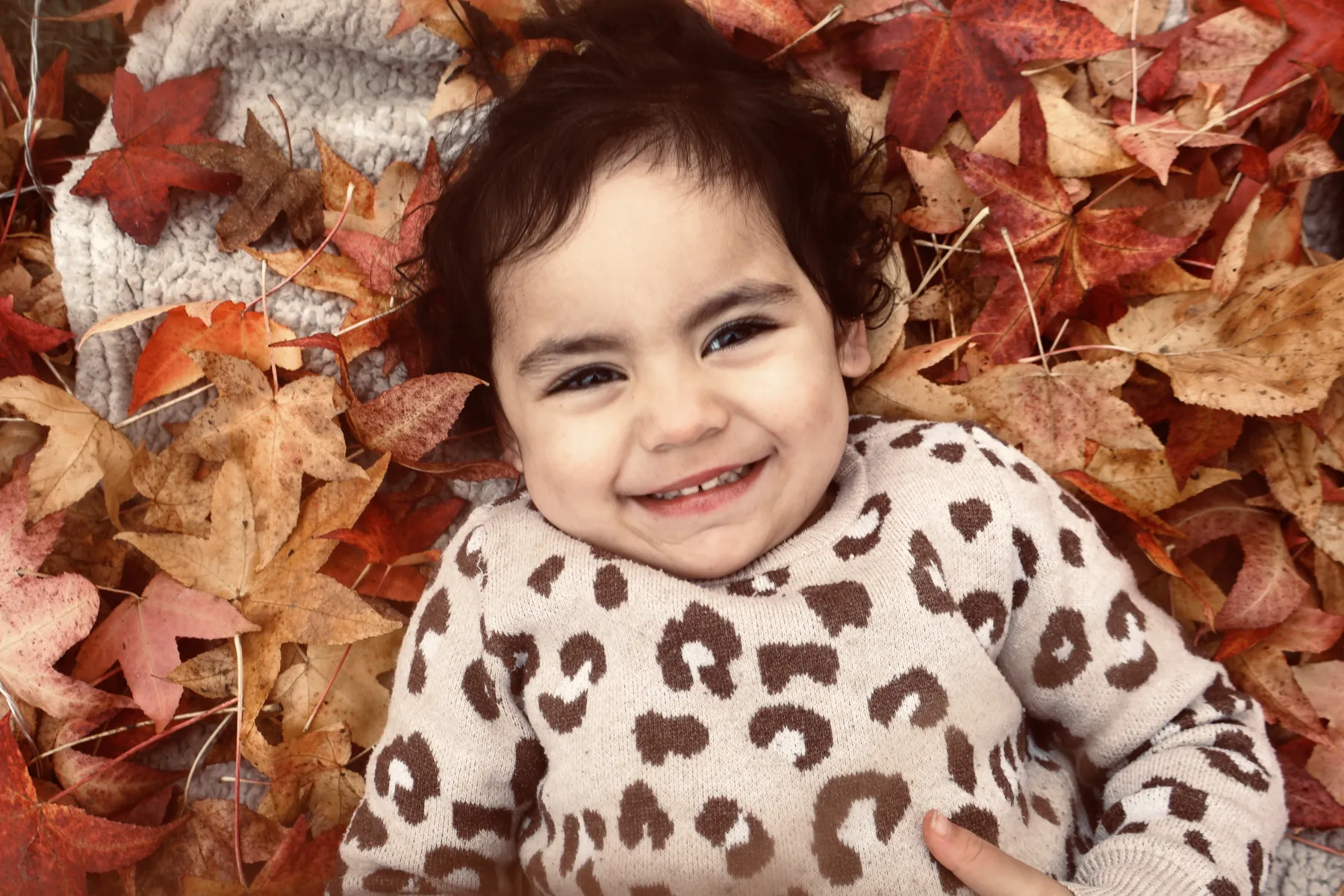 Une petite fille souriante allongée dans des feuilles d'érable rouges